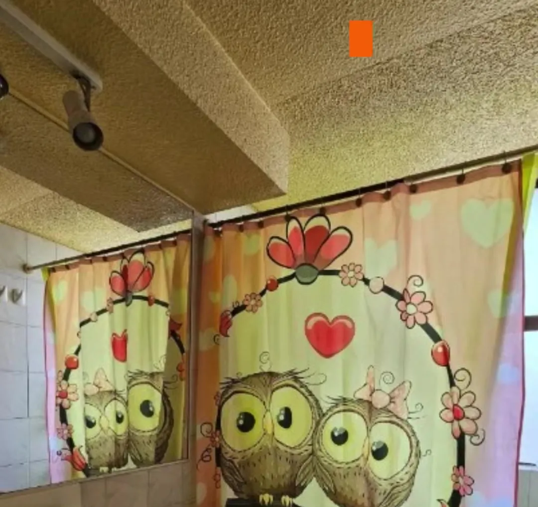El mismo baño antes de la remodelación, con cortina antigua y cielo dañado